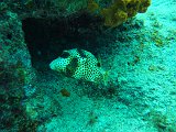 Curacao 04-12 123